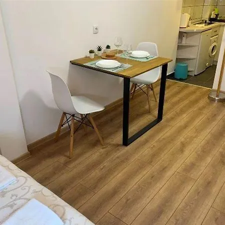 公寓 Cozy & Fully Equipped In The Heart Of Downtown And Next To Kalemegdan 贝尔格莱德